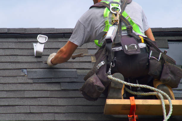 Best Metal Roofing Contractor  in North Logan, UT