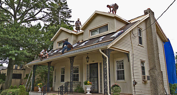 Best Shingle Roofing Installation  in North Logan, UT
